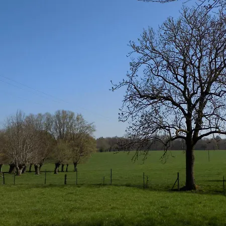 Des Marmouzeaux